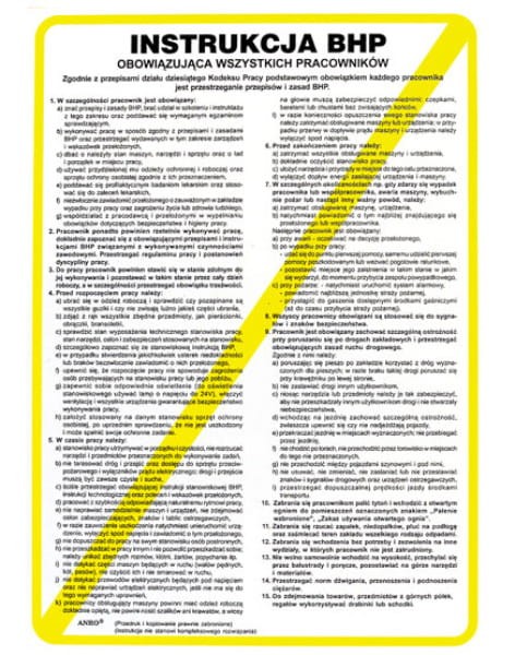 Znak Instr.BHP Obow.Wszyst.Pracow. Z-IB1-P-250x350 - zdjęcie 2