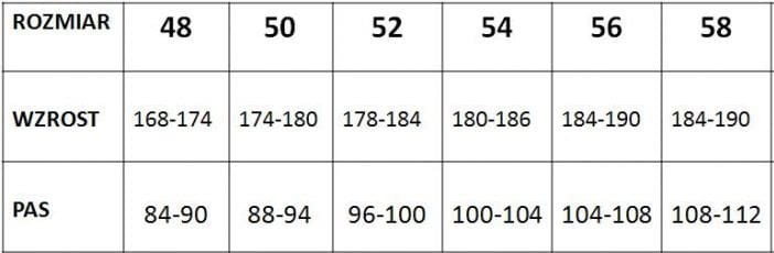 Spodnie robocze ogrodniczki PROFESSIONAL - zdjęcie 3