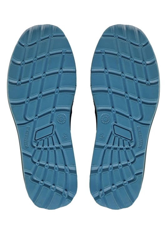 CXS ISLAND VIS 3.jpg